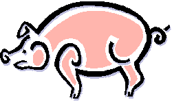 Pigs graphics