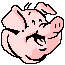 Pigs graphics