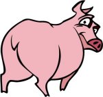 Pigs graphics