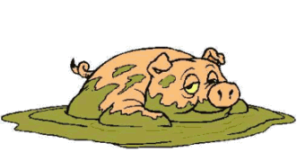 Pigs graphics