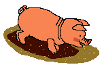 Pigs graphics