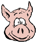 Pigs graphics