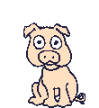 Pigs graphics