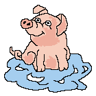 Pigs graphics