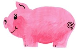 Pigs graphics