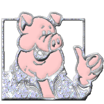 Pigs graphics