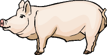 Pigs graphics