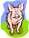 Pigs graphics