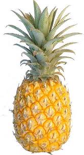 Pineapple graphics