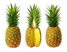 Pineapple graphics
