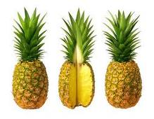 Pineapple graphics
