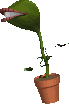 Plants graphics