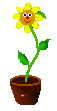 Plants graphics