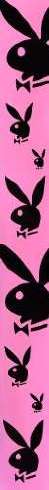 Playboy graphics
