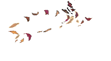 Pocahantas graphics