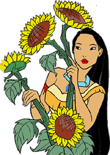 Pocahantas graphics