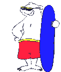 Polar bears graphics