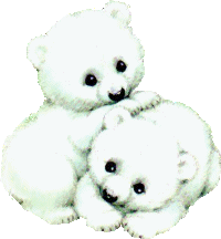 Polar bears graphics