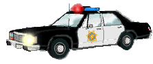 Police car graphics
