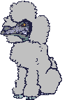 Poodle graphics
