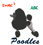 Poodle graphics