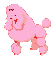 Poodle