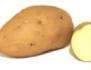 Potato graphics