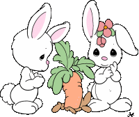 Rabbits graphics