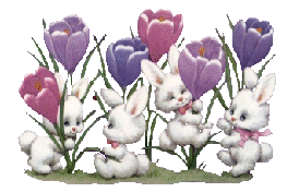 Rabbits graphics