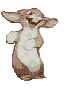 Rabbits graphics
