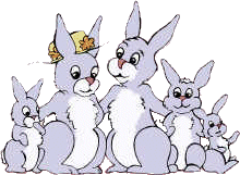 Rabbits graphics