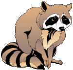 Raccoons graphics