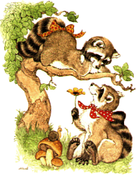 Raccoons graphics