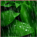 Rain graphics