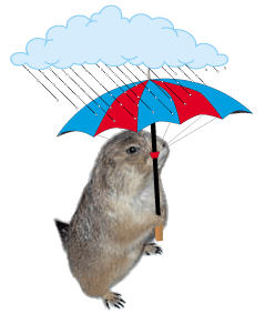 Rain graphics