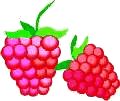 Raspberry