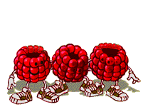 Raspberry graphics