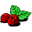 Raspberry graphics