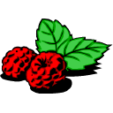 Raspberry graphics