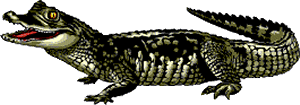 Reptiles graphics