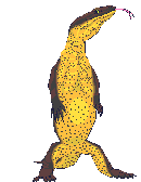 Reptiles graphics