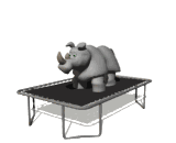 Rhino graphics