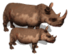 Rhino graphics