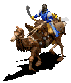 Riders graphics