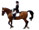 Riders graphics