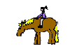 Rodeo graphics