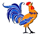 Rooster graphics