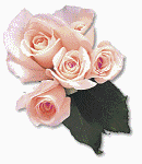 Roses graphics