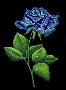Roses graphics