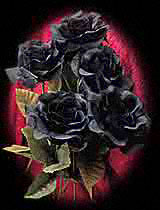 Roses graphics